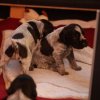 3 Woche