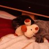 3 Woche