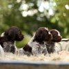 4 Woche