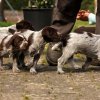 5 Woche