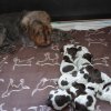 2 Woche