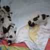 2 Woche