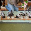 3 Woche