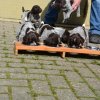 4 Woche