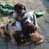 5 Woche