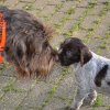 5 Woche