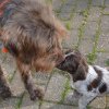 5 Woche