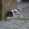 5 Woche