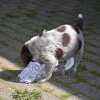 5 Woche