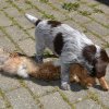 5 Woche