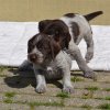 5 Woche