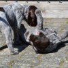 6 Woche