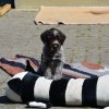 6 Woche