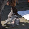 6 Woche