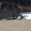 6 Woche