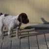 6 Woche