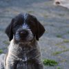 6 Woche