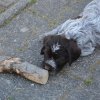 6 Woche