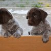 6 Woche