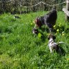6 Woche