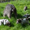 6 Woche