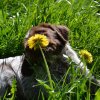 6 Woche