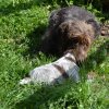 6 Woche