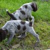 6 Woche