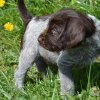 6 Woche