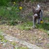 6 Woche