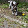 6 Woche