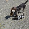 7 Woche