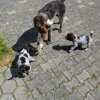 7 Woche