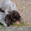 7 Woche