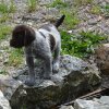 7 Woche