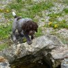 7 Woche
