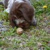 8 Woche