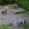 8 Woche