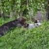 8 Woche