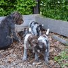 8 Woche