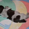 3 Woche