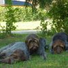 Bilder aus 2014
