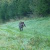Bilder aus 2014