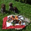 Bilder aus 2015