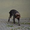 Bilder aus 2015