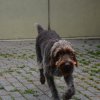 Bilder aus 2015