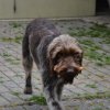 Bilder aus 2015