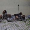 Bilder aus 2015