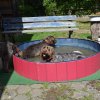 Bilder aus 2015