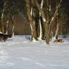 Bilder aus 2016